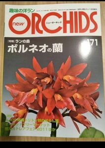 趣味の洋ラン ニューオーキッド ORCHIDS　バルネオの欄　New Orchids趣味の洋らん　 ニューオーキッド　No171