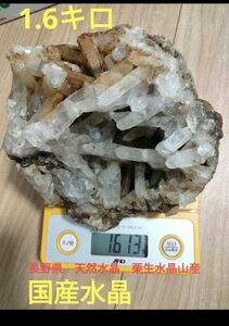 長野県　天然水晶　栗生水晶山産　水晶　原石　1.6キロ　大サイズ　早い者勝ち　