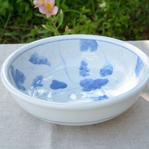 Art hand Auction Large bowl/hand-painted grapes/bal013, Japanese tableware, pot, large bowl