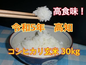 高食味！ 我が家低農薬栽培 令和5年 高知南国コシヒカリ 玄米30kg