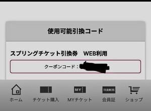 千葉ロッテマリーンズスプリングチケット引換券