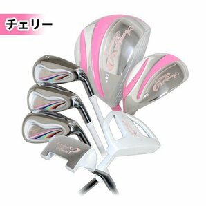 ■女性■AEROTECH 10カラー チェリー ７本■L■クラブセット■キャディバッグなし■新品■1円～の画像1