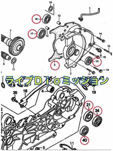 HONDA LIVE Dio ZX AF35/AF34 ライブディオ 中期/後期 ミッションOH ベアリング オイルシール6点 ギアボックス ベアリング