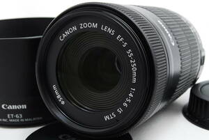 ★美品☆ Canon キヤノン EF-S 55-250mm F4-5.6 IS STM ★純正フード＆安心保証♪