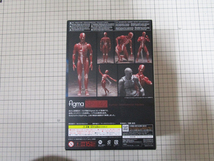 【未開封品】figma 人体模型　GOOD SMILE COMPANY_画像4