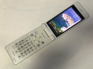 GK949 docomo P-01J 判定〇 ジャンク