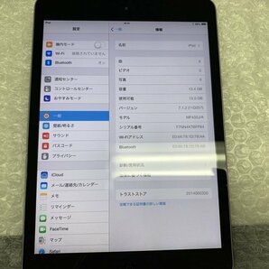 JL828 iPad mini 第1世代 Wi-Fiモデル A1432 ブラック 16GBの画像3