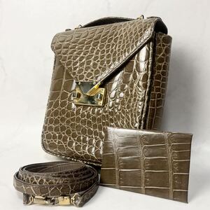 [ rare ] shining black ko crocodile . leather metal fittings 2way Mini handbag shoulder bag beige rare color 