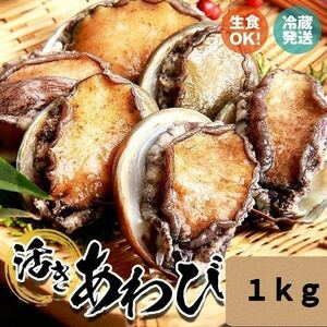 活 き 蝦夷 あわび 140/150 1kg 約6〜7枚 送料無料