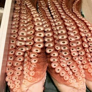 [Mass / Bargain] Hokkaido Boyle Octopus (осьминог) 7 кг (около 7 бутылок) [K] Северный порт Прямой продажи ☆ Осьминог и сашими ☆