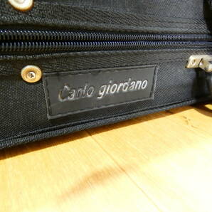 【USED!Carlo giordano エレキバイオリン★カルロジョルダーノ/サイレント/ケース付き ※現状品＠120（4）】の画像5