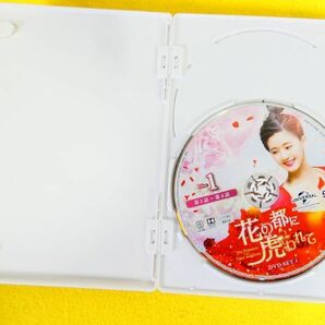 花の都に虎われて The Romance of Tiger and Rose DVD-BOX1 / DVD-BOX2 DVD 中国ドラマ @送料520円(4-11)の画像3
