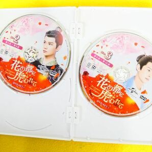 花の都に虎われて The Romance of Tiger and Rose DVD-BOX1 / DVD-BOX2 DVD 中国ドラマ @送料520円(4-11)の画像4