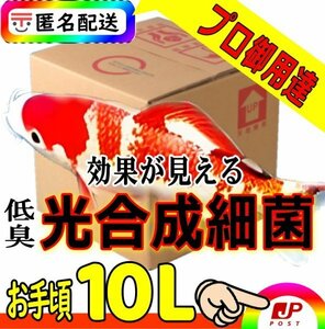 【錦鯉プロ専用】低臭タイプ光合成細菌PSB１０L入★水質改善・浄化（バクテリア）針子・繁殖餌 超活性★純粋単独培養種菌（検索用20L18Ｌ）