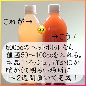 出血ミラクルセール★100ml→PSB50Lに ! 自分でふやしてPSBをたっぷり使う！濃縮光合成細菌の培養餌料、培基の画像4