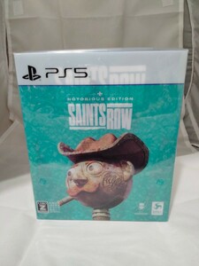 ◇◇新品即決◇◇セインツロウ Saints Row ノートリアスエディション (DLCコード付)◇◇PS5