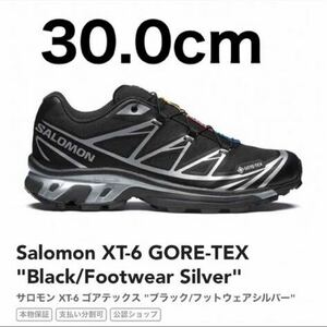 サロモン　XT-6 30センチ　新品