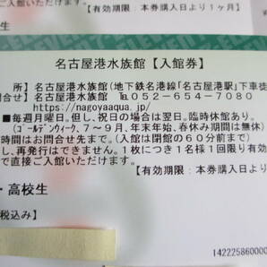 名古屋港水族館  入場券  大人 ２枚  （２０２４年５月６日まで）  その１の画像2