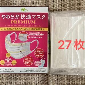 マスク　やわらか快適 27枚 小さめサイズ 個別包装 ウイルス 飛沫 かぜ花粉ホコリ 99%カット 不織布マスク 個包装