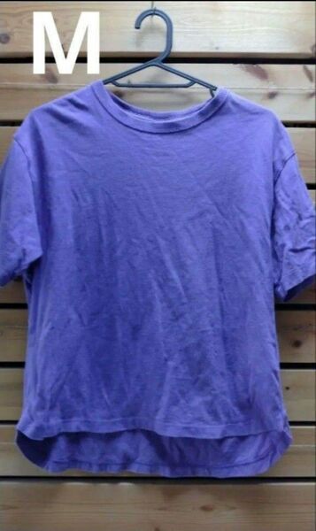 Champion　チャンピョン　 Tシャツ　パープル　紫　Mサイズ
