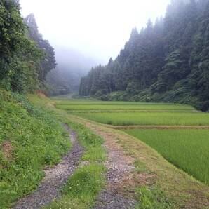 【復興米】コシヒカリ玄米１０kg③ 石川県輪島産 ５年産 農家直送 遠赤外線乾燥 無農薬栽培 世界農業遺産 紙袋で発送の画像3