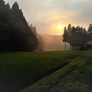 【復興米】５年産 コシヒカリ 玄米２４㎏⑦ 石川県輪島産 農家直送 遠赤外線乾燥 無農薬栽培 世界農業遺産 紙袋で発送の画像2