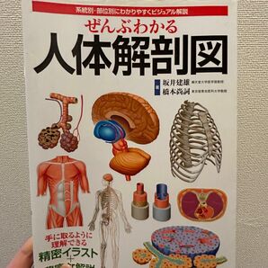 ぜんぶわかる人体解剖図　系統別・部位別にわかりやすくビジュアル解説 坂井建雄／著　橋本尚詞／著