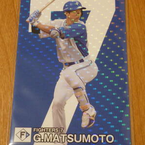 2024 カルビー プロ野球チップス 第1弾 日本ハムファイターズ 松本剛 スターカード STAR CARD S-23の画像1