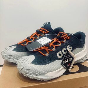 Nike ACG Mounitan Fly 2 Low GORE-TEX マウンテンフライ2 ロー ゴアテックス 