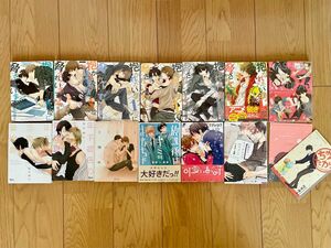 【緊急値下げ！】抱かれたい男1位に脅されています。含むBL漫画まとめ売り15冊セット