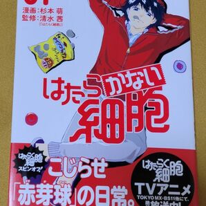 はたらかない細胞 01 コミックス 漫画 杉本萌 清水茜