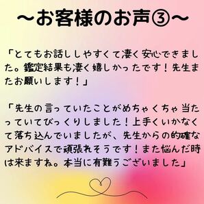 タロット占い 占い 結婚 恋愛 仕事 人間関係 金運 不倫 復縁 悩み 転職 運勢 離婚 霊視 適職 鑑定 送料無料 相談 霊感の画像4