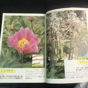 吉/主婦の友社/薬草カラー図鑑/2冊セットまとめ売り/伊沢一男/1978〜80年/わたしの健康/別冊/吉-80 STの画像6