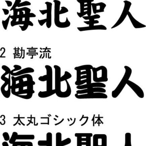 バッカンその他 カッティングネームステッカー【強粘着】 4文字で８００円 ※文字サイズ4ｃｍ各 縦・横書き対応の画像1