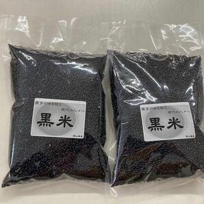 令和5年産　黒米　500g*2袋