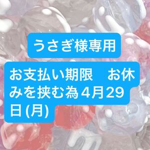 うさぎ様専用【お支払い期限　お休みを挟む為4月29日(月)】ビーズ