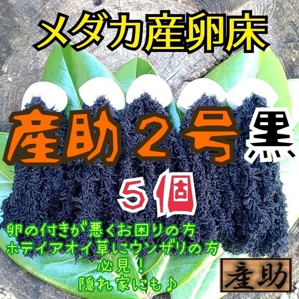 メダカ産卵床 10㎝ ★産助(さんすけ)2号黒５★ 　　※組立不要！　金魚にも