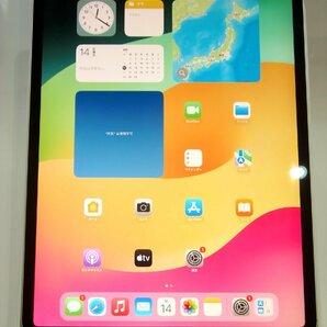 ○ Apple iPad Pro 12.9 第3世代 MTJ62J/A 256GB SIMフリー ○判定 画面黄ばみ 光漏れあり 中古品 難ありの画像1
