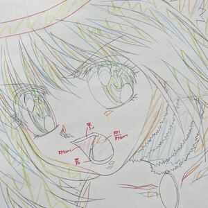 ■【東京ミュウミュウ Tokyo Mew Mew】【桃宮いちご ミュウイチゴ】原画 動画 セル画 1枚 anime genga douga cel アニメ(k60) 