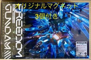 FREEDOM 西川貴教with t.komuro フリーダムガンダム ポラライズドクリア ガンダムSEED マグネット3個付き