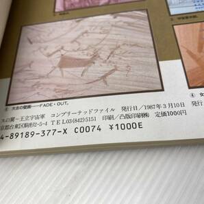 ★オネアミスの翼 王立宇宙軍★COMPLETED FILE バンダイ 1987年初版【中古/現状品】の画像4