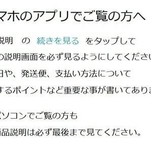 NTB '08～'16 Dトラッカー X (LX250V) リアブレーキパッド A61-001HNの画像5