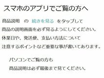 NTB '00～'06 NINJA ZX12R (ZXT20A /ZXT20B) リアブレーキパッド A61-014KN_画像5