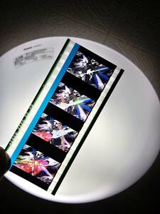 Мобильный костюм Gundam SEED FREEDOM Привилегия посетителя Неделя 12 Вход Подарок Кадр Фильм vol.3 Церемония Strike Freedom Gundam