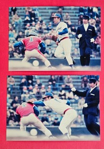 Lサイズのカラー生写真2枚セット/ビュフォード選手(太平洋)、菅野光夫二塁手(日本ハム)