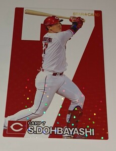 2024 カルビープロ野球チップス スターカード 広島東洋カープ堂林