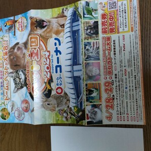 ペット王国 2024 京セラドーム大阪 招待券の画像3