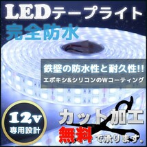 完全防水 LEDテープライト ダブル 12v 5m ホワイト 白 作業灯 カーポート照明 船舶 漁船 照明 ボート_画像1