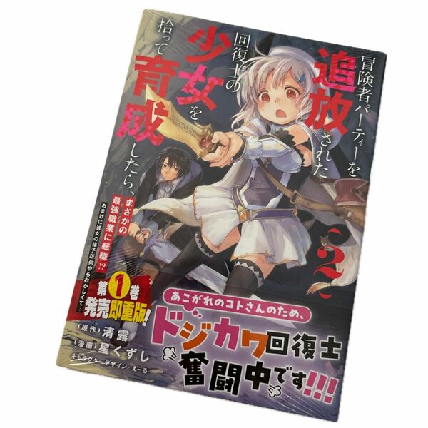 冒険者パーティーを追放された回復士の　２ （ＲＥＸコミックス） 清露　コミック