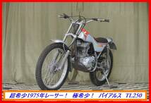 超希少旧車トライアル！ 『　バイアルス　ＴＬ２５０　』　実動車　型式 TL250　CB VT NSR MVX CBR CBX　売り切り！　全国自宅配送OK！_画像3